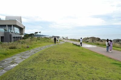 【韓流・韓国旅行】数々の名作映画を生んだ釜山・慶州を巡る3泊4日の旅〈3〉『マイネーム: 偽りと復讐』ロケ地の海東龍宮寺、新たな観光名所のオシリア海岸散策路