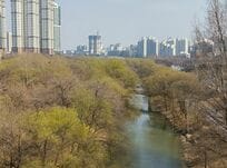 人気ドラマのロケ地としても有名なソウル中心街の汝矣島漢江公園、静かな森の近くには国会議事堂【韓国の個人旅行ガイド】