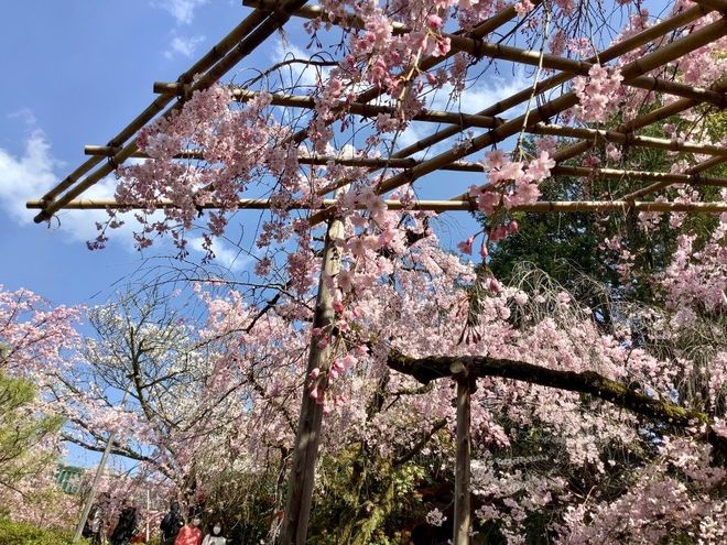 MACHIYA28.18