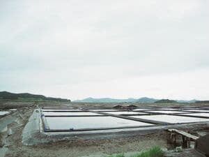 名優ソン・ガンホ初主演ドラマ『サムシクおじさん』見どころ＆塩田ロケ地、全羅南道「天使の島」新安の観光スポット紹介！【韓ドラから始める韓国旅行】の画像