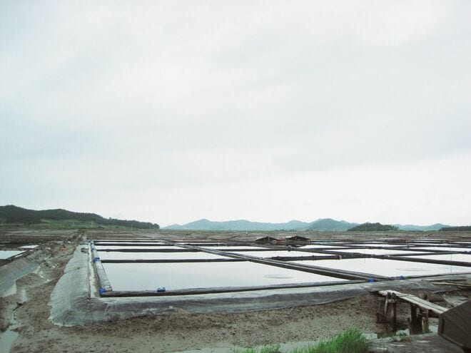 名優ソン・ガンホ初主演ドラマ『サムシクおじさん』見どころ＆塩田ロケ地、全羅南道「天使の島」新安の観光スポット紹介！【韓ドラから始める韓国旅行】の画像