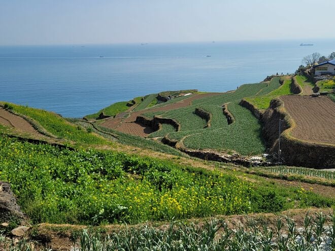 ASTROチャウヌ出演『女神降臨』に登場した慶尚南道・南海の観光スポットと絶品グルメ紹介！〈1〉【韓ドラから始める韓国旅行】の画像