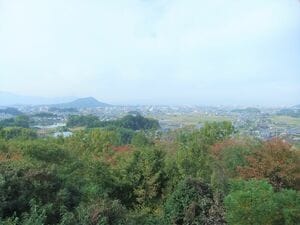 韓国時代劇に登場する朝鮮半島の古代国家と縁が深かった奈良の飛鳥、渡来人が残した足跡が興味深い〈歴史解説〉【サランヘジョ韓ドラ】の画像