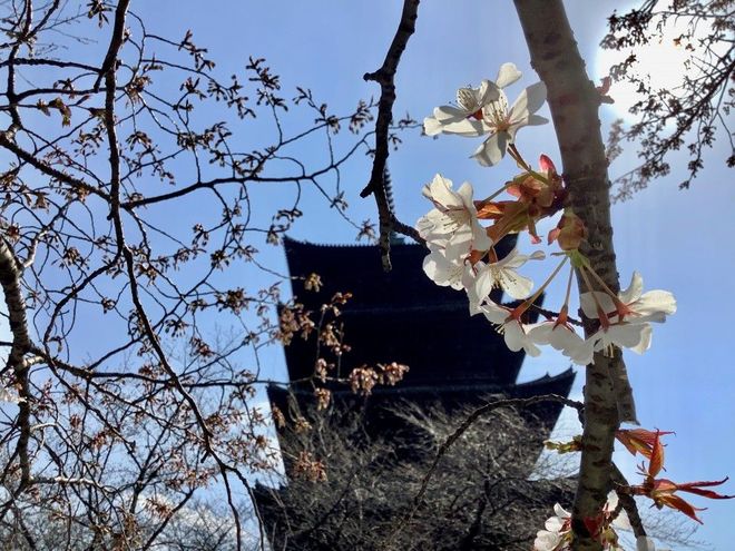 MACHIYA28.11