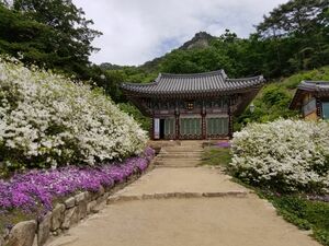 不朽の名作『冬のソナタ』舞台の江原道・春川、サイクリングにケーブルカー、遊覧船で湖畔都市を楽しむ！【韓ドラから始める韓国旅行】の画像