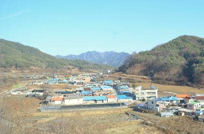 注目新作『殺し屋たちの店』の見どころは？のどかな農村風景と激しい抗争のアンバランスさ、印象的な叔父と姪の食事シーン【韓流談義fromソウル】