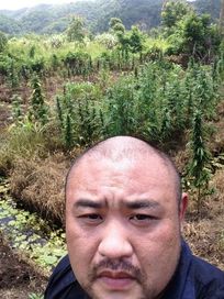丸山ゴンザレス【情報収集とマリファナ畑】ハイブリッド考古学~ジャマイカ編~