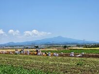 キム・ヒャンギが若き母を熱演！映画『済州島四・三事件 ハラン』ロケ地の済州島のシンボル、漢拏山【韓ドラから始める韓国旅行】