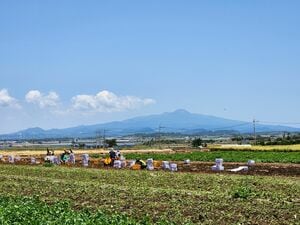 キム・ヒャンギが若き母を熱演！映画『済州島四・三事件 ハラン』ロケ地の済州島のシンボル、漢拏山【韓ドラから始める韓国旅行】の画像