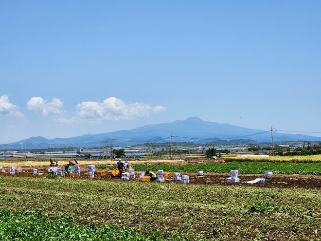 キム・ヒャンギが若き母を熱演！映画『済州島四・三事件 ハラン』ロケ地の済州島のシンボル、漢拏山【韓ドラから始める韓国旅行】の画像