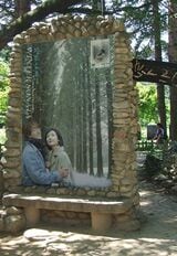 韓流20周年記念！『冬のソナタ』ロケ地、南怡島の聖地巡り旅。ペ・ヨンジュンとチェ・ジウが歩いたメタセコイアの並木道、ドラマの記念碑も【康熙奉のサランヘジョ韓ドラ〈30〉】