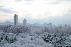 雪が印象的な韓国映画5選！キム・ヒエ主演『ユンヒへ』、ペ・ヨンジュン＆ソン・イェジン主演『四月の雪』他【韓流談義fromソウル】の画像