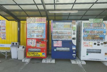 北関東恐るべし U字工事にカミナリ 中山秀征兄さんや井森美幸姉さんだってビックリ仰天 まだ 秘密のケンミンshow でも紹介されていない 珍珍自販機 を発見 概要