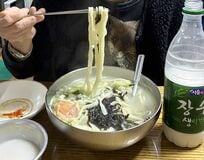 Netflix『隣の国のグルメイト』でソン・シギョンが松重豊を案内した乙支路3街と韓国式手打ちうどん「カルグクス」の魅力【韓流談義fromソウル】