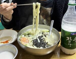 Netflix『隣の国のグルメイト』でソン・シギョンが松重豊を案内した乙支路3街と韓国式手打ちうどん「カルグクス」の魅力【韓流談義fromソウル】の画像