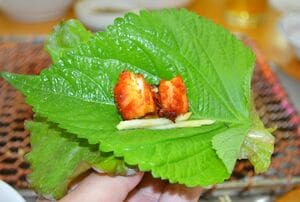 Netflix人気グルメ番組『隣の国のグルメイト』韓国編、ソン・シギョンが焼肉を葉野菜で「サム」したものを、松重豊に直接食べさせようとした理由は？【韓流談義fromソウル】の画像