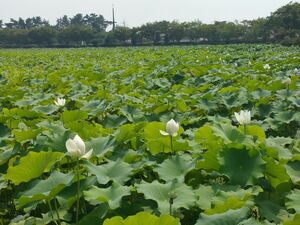 イ・ソンミン＆ユ・ヨンソクの演技が光る『運の悪い日』見どころ＆劇中に登場する全羅南道・務安郡とは？【韓ドラから始める韓国旅行】の画像