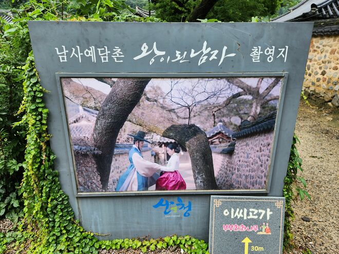 話題の感涙作『生まれ変わってもよろしく』ロケ地、慶尚南道・山清の伝統村にある「夫婦のエンジュの木」と名物冷麺【韓ドラから始める韓国旅行】の画像