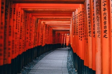 稲荷神社 安い 京都 白い服 危険