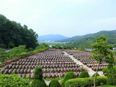 映画『勇敢な市民』見どころは？シン・ヘソンvsイ・ジュニョンの本格アクションシーンは必見！舞台の高校ロケ地は世宗特別自治市【韓ドラから始める韓国旅行】