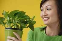 【新しすぎる理科の教科書】ほめると植物は成長し、悪口でしおれる？　IKEAも米海軍も飛びついた謎の植物スピリチュアル理論【植物は思考する～塗り替えられる植物の常識・第８回／中編】　