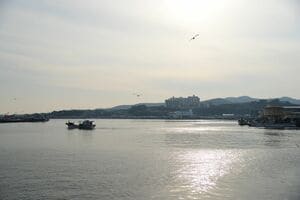 慶尚北道・浦項市、韓国有数の漁港として知られる九龍浦の日本人町を旅する【韓国の個人旅行ガイド】下川裕治の画像