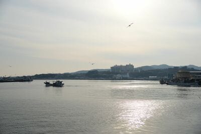 慶尚北道・浦項市、韓国有数の漁港として知られる九龍浦の日本人町を旅する【韓国の個人旅行ガイド】下川裕治