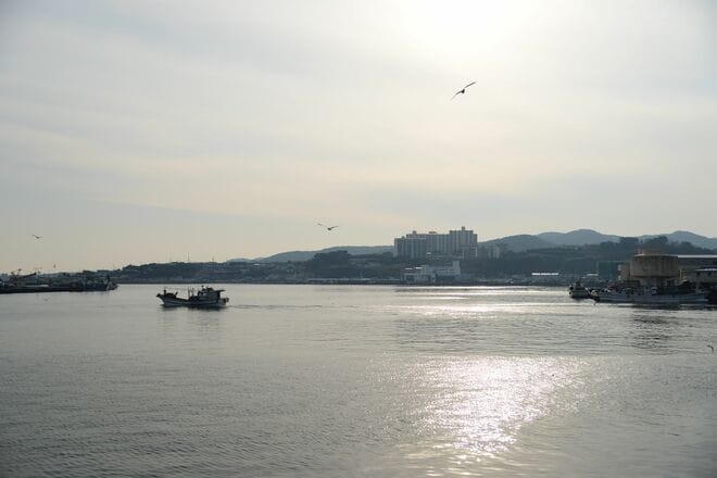 慶尚北道・浦項市、韓国有数の漁港として知られる九龍浦の日本人町を旅する【韓国の個人旅行ガイド】下川裕治の画像