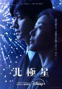 チョン・ジヒョン、カン・ドンウォン主演『北極星』豪華すぎる脇役陣たち!イ・ミスク、オ・ジョンセ、キム・ヘスク、ユ・ジェミョン【旬ドラマ見どころ考察】