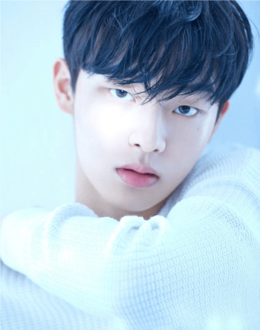 韓国ドラマ『二十五、二十一』の同級生男子役で注目の新人俳優チェ