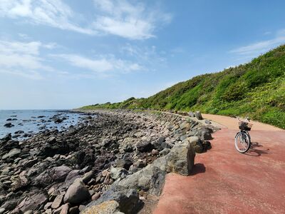 イ・ビョンホン、シン・ミナほか豪華俳優出演の名作『私たちのブルース』ロケ地・済州島、港町や加波島を訪ねる【韓ドラから始める韓国旅行】