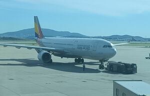 今冬12月に大韓航空に吸収されるアシアナ航空、韓国人はどんな思いを抱いているのか？【韓国の個人旅行ガイド】の画像