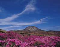 推しドラマに魅せられた！