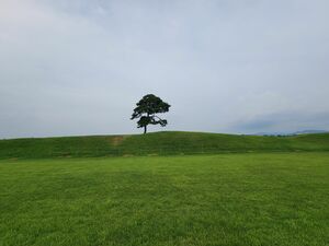 『Missナイト＆Missデイ』『ザ・グローリー』ロケ地、忠清北道・清州の魅力とは？歴史とご当地グルメが楽しめる街、日本から直行便も就航！【韓ドラから始める韓国旅行】の画像