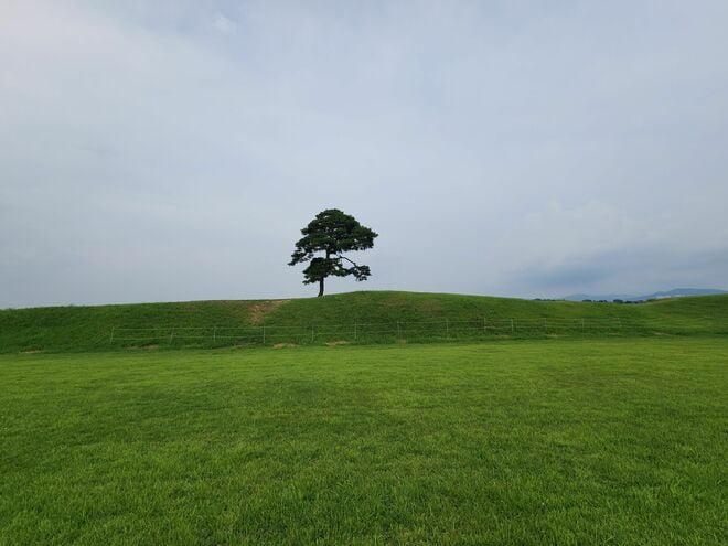 『Missナイト＆Missデイ』『ザ・グローリー』ロケ地、忠清北道・清州の魅力とは？歴史とご当地グルメが楽しめる街、日本から直行便も就航！【韓ドラから始める韓国旅行】の画像