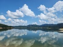 チョン・ギョンホの体当たりの演技が光るNetflix『プロボノ：アナタの正義救います！』杏の木のロケ地は大田広域市の絶景スポット、大清湖・瞑想庭園【韓ドラから始める韓国旅行】