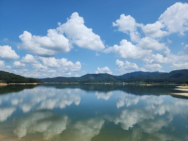 チョン・ギョンホの体当たりの演技が光るNetflix『プロボノ：アナタの正義救います！』杏の木のロケ地は大田広域市の絶景スポット、大清湖・瞑想庭園【韓ドラから始める韓国旅行】の画像