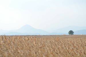 『殺し屋たちの店』は個性派俳優揃い!『トッケビ』イ・ドンウク、『キングダム』キム・ヘジュン、『エージェントなお仕事』ソ・ヒョヌ、『熱血男児』チョ・ハンソン他【韓流談義fromソウル】の画像