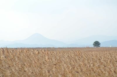 『殺し屋たちの店』は個性派俳優揃い！『トッケビ』イ・ドンウク、『キングダム』キム・ヘジュン、『エージェントなお仕事』ソ・ヒョヌ、『熱血男児』チョ・ハンソン他【韓流談義fromソウル】