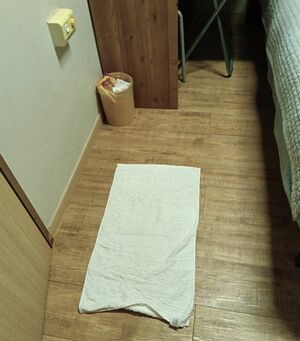 厳寒のソウル、ゲストハウスに宿泊。部屋の床暖房は暖かくて助かるけど、乾燥対策はどうする？【韓国の個人旅行ガイド】下川裕治の画像