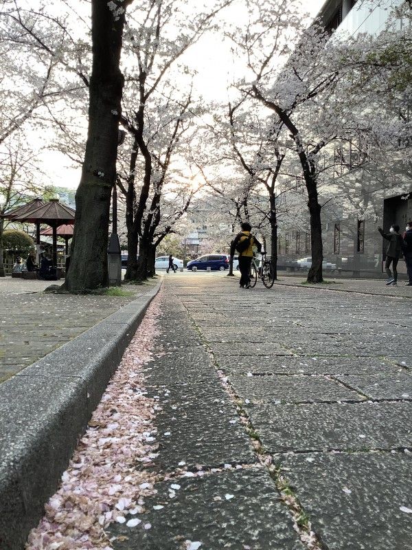 MACHIYA28.17