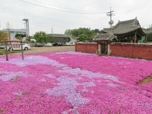 ASTROチャウヌ好演！意欲作『ワンダフルワールド』ロケ地がある全北特別自治道・益山、春のお勧め観光スポット紹介【韓ドラから始める韓国旅行】の画像
