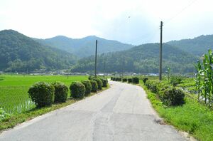 Netflix韓国ドラマ 『シスターズ』第三の恐怖か？清蘭会の生き残りを演じるベテラン俳優チャン・グァンのトラウマ演技【チョン・ウンスクの韓流談義fromソウル】の画像