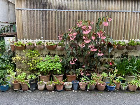 Naha16.3