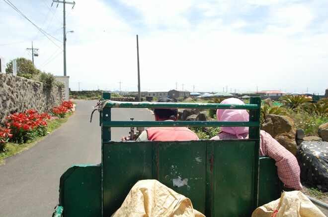 Netflix人気作『Missナイト ＆ Missデイ』見どころ考察！チョン・ウンジ扮する20代ヒロインとエリート検事を乗せてゴトゴト走るトラクターの旅情【韓流談義fromソウル】の画像