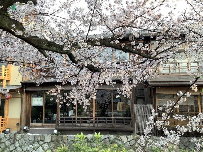 MACHIYA28.16