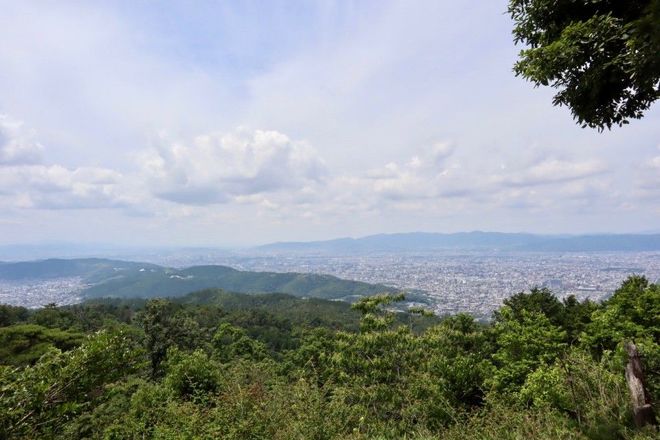 MACHIYA29.1