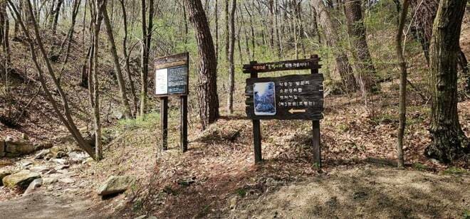 朝鮮通信使の道を辿って鳥嶺古道を歩く旅。本来の古道を探して山道をくだり、後半は裸足で歩く健康志向の道に【韓国の個人旅行ガイド】下川裕治の画像