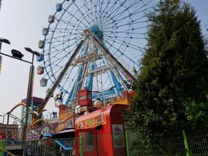 ぺ・スジ主演Netflix『イ・ドゥナ！』ロケ地の遊園地がある仁川・月尾島、絶景「月尾海列車」と名物の貝焼きを楽しむ！【韓ドラから始める韓国旅行】の画像