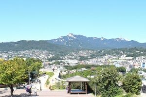 プライム・ビデオ配信の韓国ドラマ『ユミの細胞たち』で主演女優賞獲得のキム・ゴウン、10年前の映画デビュー作で見せた輝き【チョン・ウンスクの韓流談義fromソウル】の画像